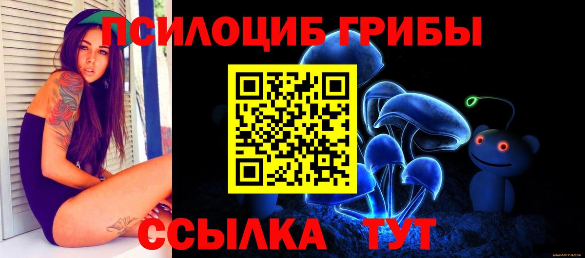 Галлюциногенные грибы Psilocybine cubensis Мелеуз